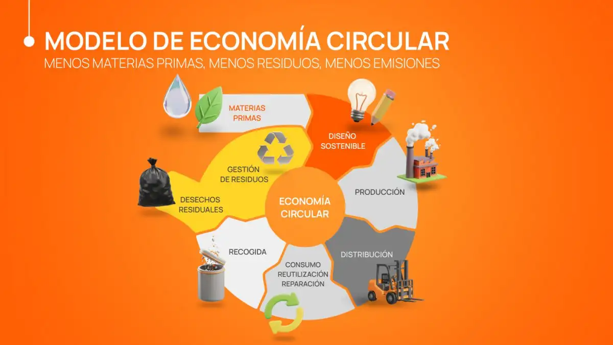 Infografía que representa el modelo de economía circular y sus diferentes etapas. 